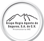 GRUPO REGIO AGENTE DE SEGUROS SA DE CV